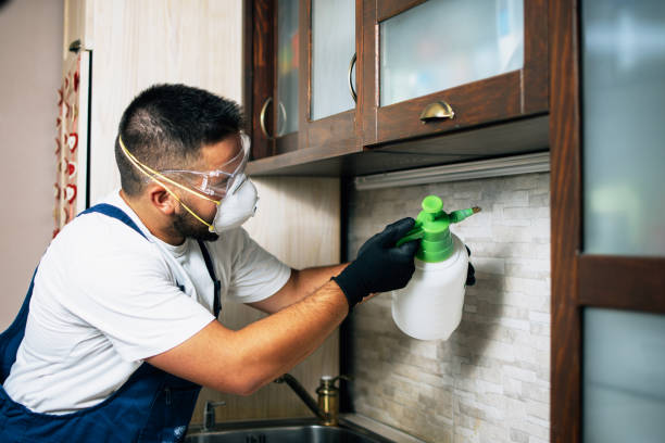 Wildlife Control Services in Gardner, IL