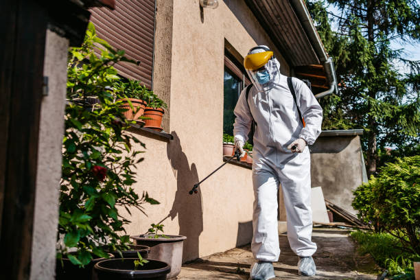 Best Pest Control Treatment  in Gardner, IL