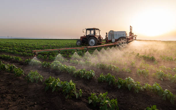 Best Pest Removal Services  in Gardner, IL