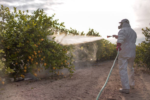 Flea Control Services in Gardner, IL