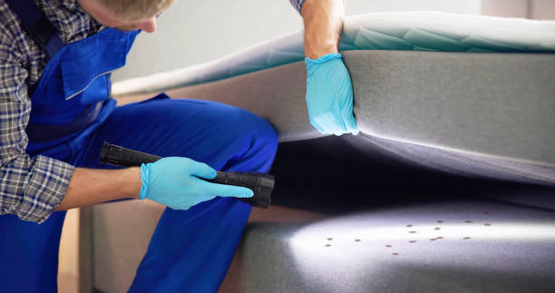 Best Affordable Pest Control Services  in Gardner, IL