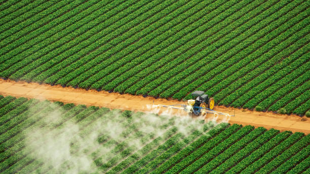 Trusted Gardner, IL Pest Control Experts